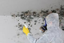 Mold Odor Removal Services in Hurricane, UT